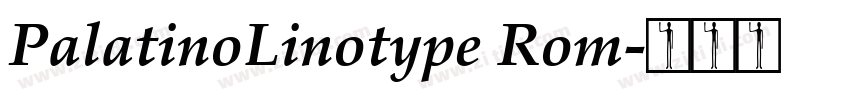 PalatinoLinotype Rom字体转换